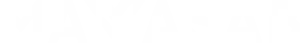 Partner 4